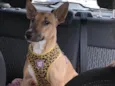 Lupita