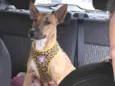 Lupita