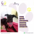 Any