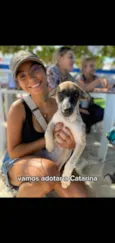 Catarina