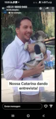Catarina