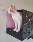 VICTOR