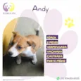 Andy