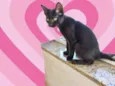 Cacao bb3meses lindo