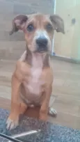 FRANK