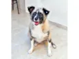 MATILDE 