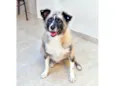 MATILDE