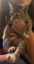 Francisco