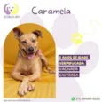 Caramela