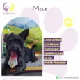 Max