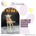 Princesa