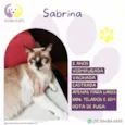 Sabrina