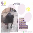 Lukao 