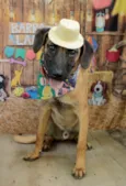 Mumuzinho