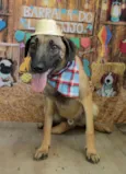 Mumuzinho