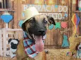 Mumuzinho