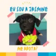 Jasmine bb4meses porte Pequeno 