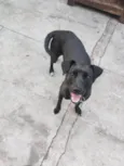 FILÓ