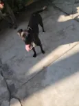 FILÓ