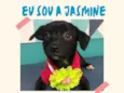 Jasmine bb4meses porte Pequeno 