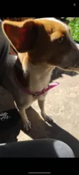 Skye