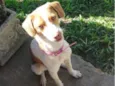 Skye