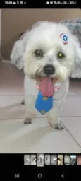 Yuki