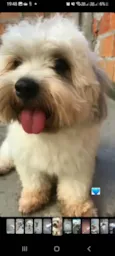 Yuki