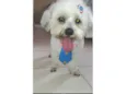 Yuki