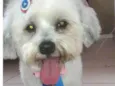 Yuki