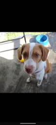 Skye