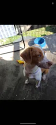 Skye