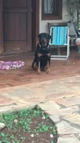 Kiara