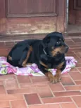 Kiara