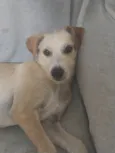 Maggie (Temporário)