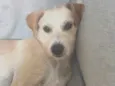 Maggie (Temporário)