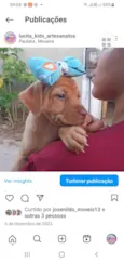 Belinha