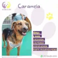 Caramela