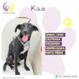 Kika