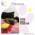 Marjorie