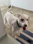 Lupita