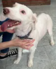 Lupita