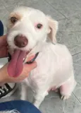 Lupita