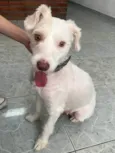 Lupita