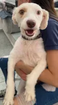 Lupita