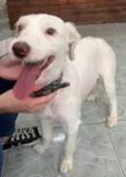 Lupita
