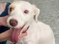 Lupita