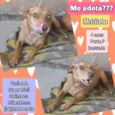 Melzinha