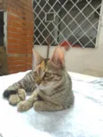 Princesa