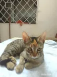 Princesa